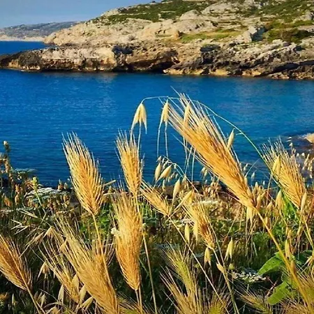 Casa Verardi *